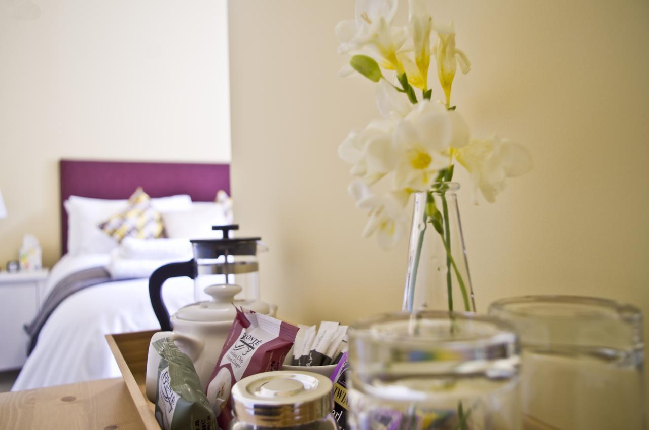 Bed and Breakfast The Red Lion Knighton  Exteriér fotografie